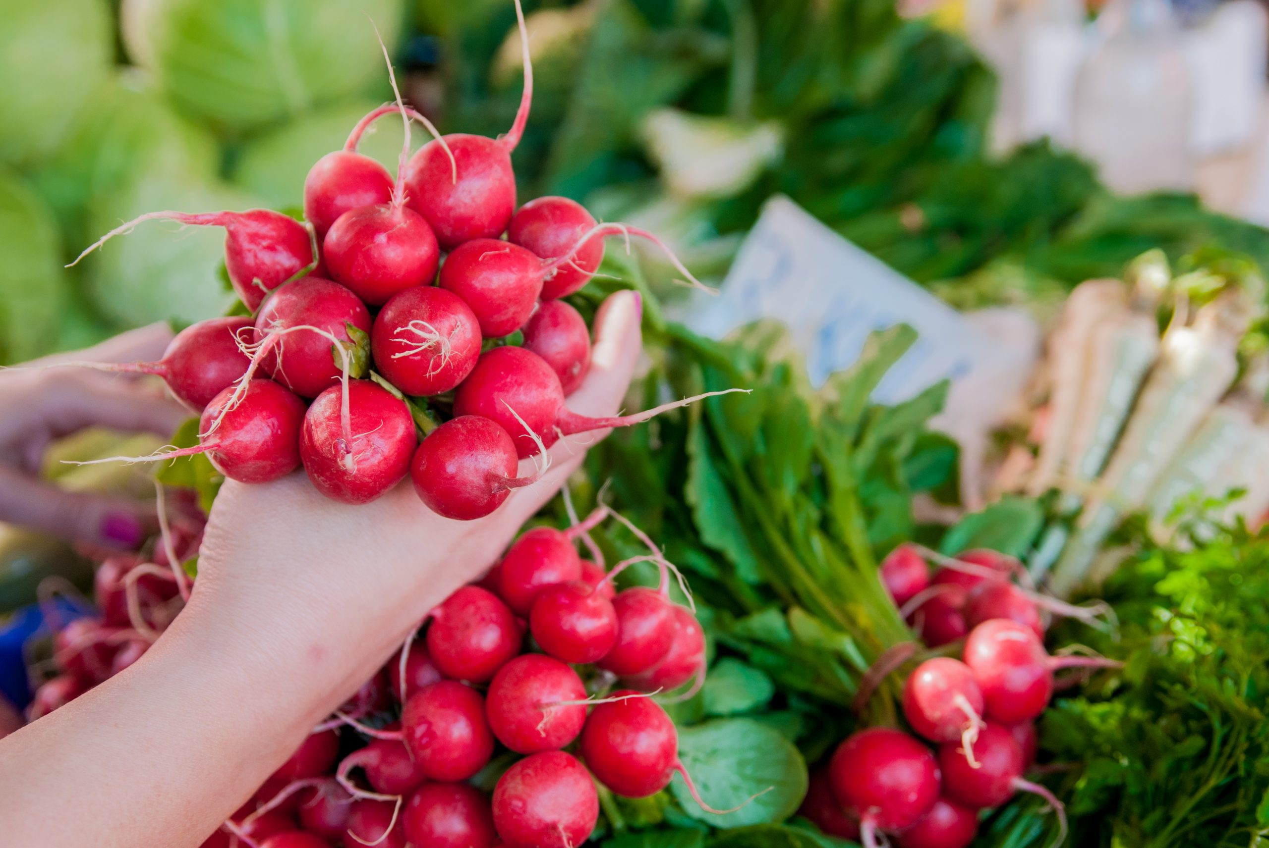 Come rafforzare il sistema immunitario attraverso l’alimentazione